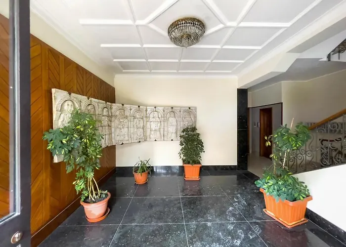 Dalia's Place